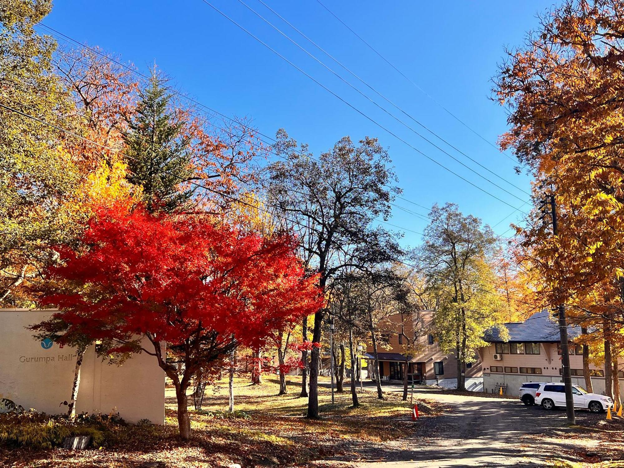 Villa Labo Land Kurohime Shinano  Exterior foto
