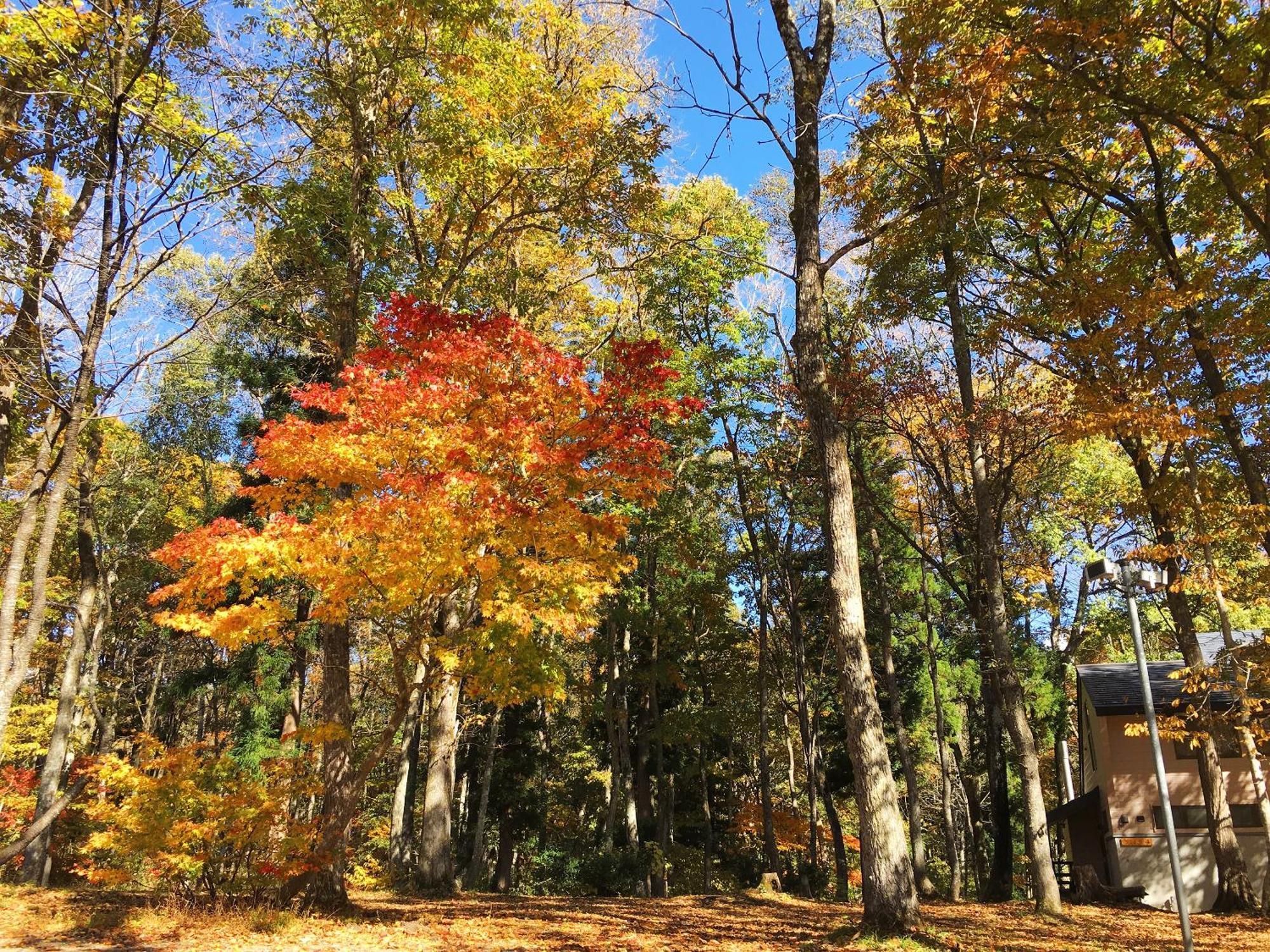 Villa Labo Land Kurohime Shinano  Exterior foto