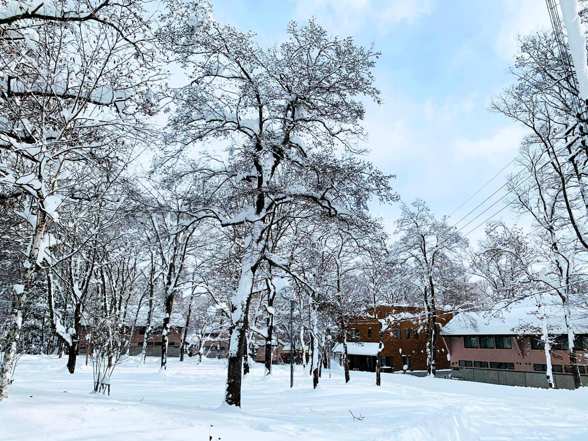 Villa Labo Land Kurohime Shinano  Exterior foto